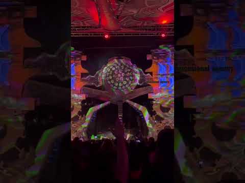 Oroboro live debuted Alice-D records @ Cosmic Spirit 4 #3rddimensionalagency #goa #alicedrecords