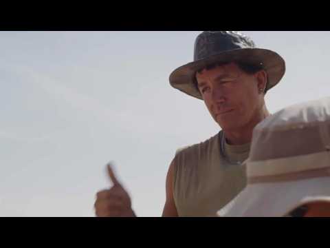 New 'hell heron' dinosaur discovered in the Sahara