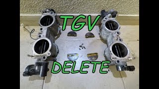 TGV Delete (Tumble Generator Valves) Small Gains will add up!