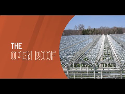 Open Roof video