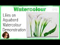 Painting Watercolor On Aquabord Watercolor Lilies