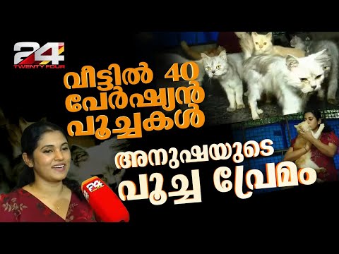 'പൂച്ചകൾ ഇല്ലെങ്കിൽ ഞാനില്ല', പൂച്ചകൾക്കായി ജോലി ഉപേക്ഷിച്ച അനുഷയുടെ കഥ | Kasargod | Cat Love