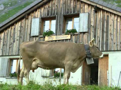 Frauenjodelchor Bumbach