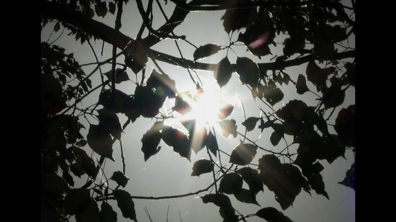 Hakage | Film of Ambience