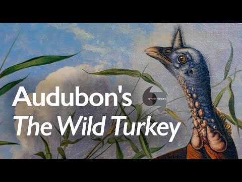 Audubon's The Wild Turkey