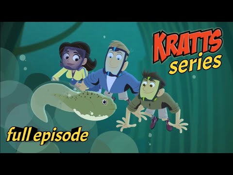 Wild Kratts – Aqua Frog