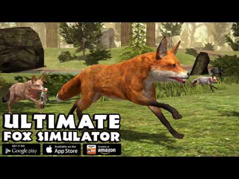 Ultimate Fox Simulator Video
