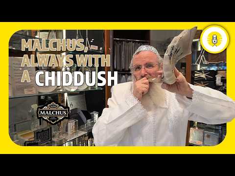 Malchus — Always with a חידוש. - The Perlowitz Show