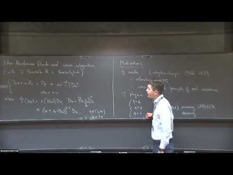 Non-Newtonian fluids and convex integration - Stefano Modena