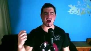 Fallen Star   Kamelot Cover