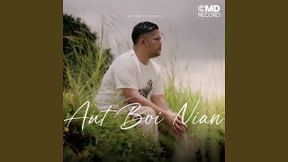 Download lagu Aut Boi Nian mp3
