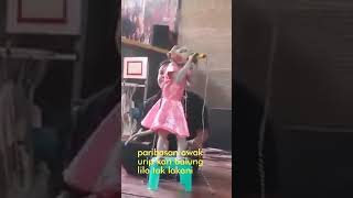 Download lagu MONYET LUCU mp3 Download lagu MONYET LUCU mp3