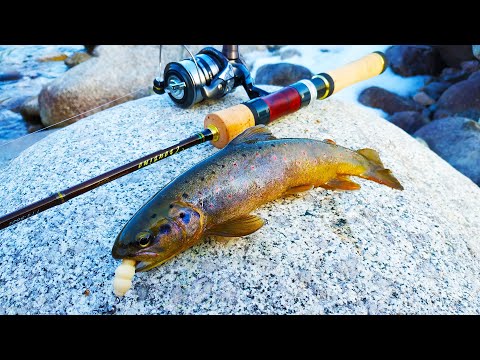 TTS-722L 2-10 грамм