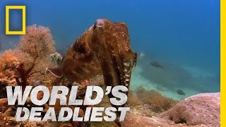 World's Deadliest - Hypnosis Attack