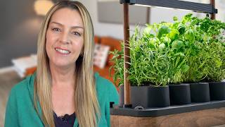 No Pumps, No Apps — Just 24/7 herbs: Auk Mini Garden Review