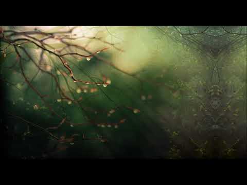 Jahbo Parvati Records ⎉ Live Parvati Sweet Sixteen