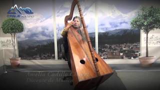 Arpa Ancashina "Gorrioncito - Chuscada"