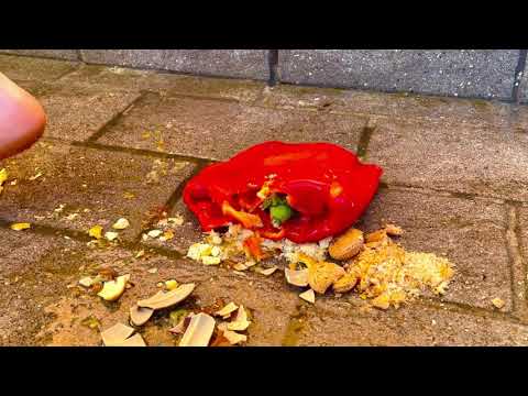 Elise crush red pepper