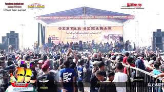 Download lagu JANGAN NGET NGETAN - COVER JIHAN AUDY- NEW PALLAPA mp3