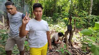 Download lagu Piknik di kobong mp3