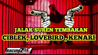 Download lagu MASTERAN JALAK SUREN TEMBAKAN BREN CIBLEK, LB, KENARI mp3