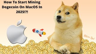 How To Mine Cryptocurrency / Dogecoin Using MacOS | 2025 Guide