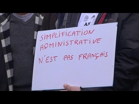 pourquoi les castors ont la queue plate