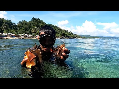Spider Seashells or "Saang" Catch & Cook | Part-1