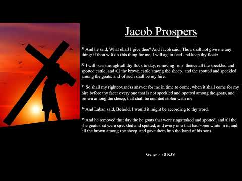 Genesis 30:25-43 KJV | Jacob Prospers