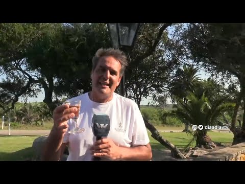 Gustavo Descalzi: El diamante naranja de Rocha