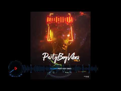 DJ LARRY PARTY BOY VIBES VOL 1