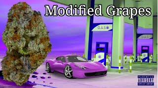 Modified Grapes OFFICIAL STRAIN REVIEW