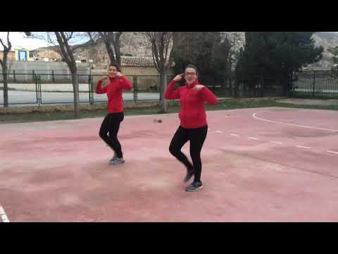 COREOGRAFIA CARNAVAL 2020