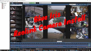 Blue Iris - Reolink Camera Setup