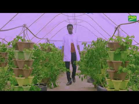 FMN - Prize For Innovation.