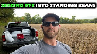 Can This Rye Planting Trick Bring More Deer?