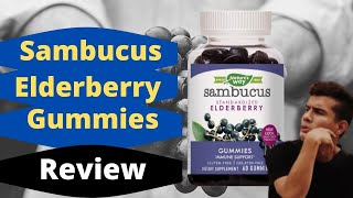 Nature's Way Sambucus Elderberry Gummies Reviews - Don't Buy
