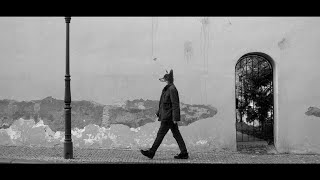 #130 Entrevista The Last Hidden Fox