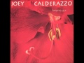 Joey Calderazzo - The Lonely Swan