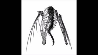 Lotic - Underneath