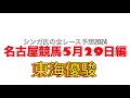 5月29日名古屋競馬【全レース予想】2024東海優駿