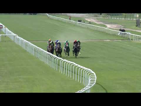 2019.05.19. 03. futam - TÖRÖKSZENTMIKLÓSI DÍJ (III.kat.)