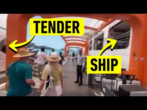 Thumbnail for How the Magic Carpet Works for Tenders on Celebrity Edge Cruise Ship?