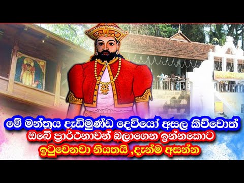 Download Dadimunda Songs 3gp Mp4 Codedwap