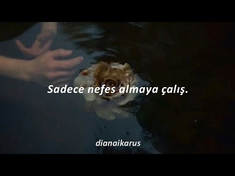 no resolve & ashley garza - dancing with your ghost (türkçe çeviri)