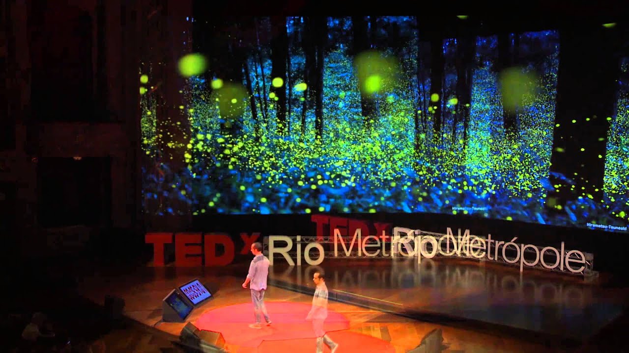 A MATEMÁTICA DA NATUREZA: 1+1=1 | Pierre Martin | TEDxRio