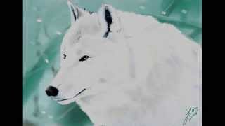 Game Of Thrones - Ghost the wolf of Jon Snow - [White Wolf] Speed paint By Yue
