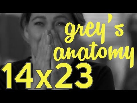 Grey's Anatomy 14x23 - quotes