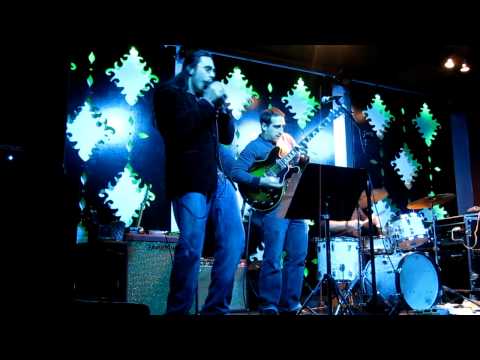Blues Harmonica - Dennis Gruenling - 