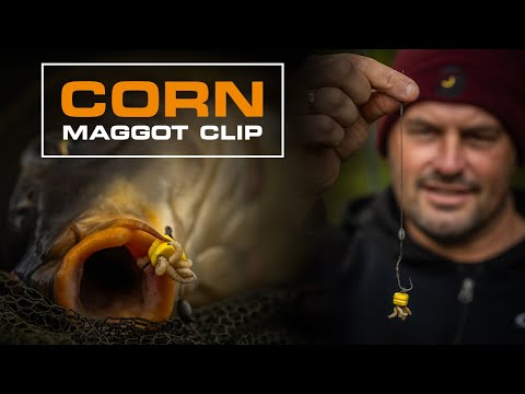 CARPFISHING WITH MAGGOTS HAS NEVER BEEN SO EASY - THE CORN MAGGOT CLIP